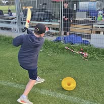 Cricket